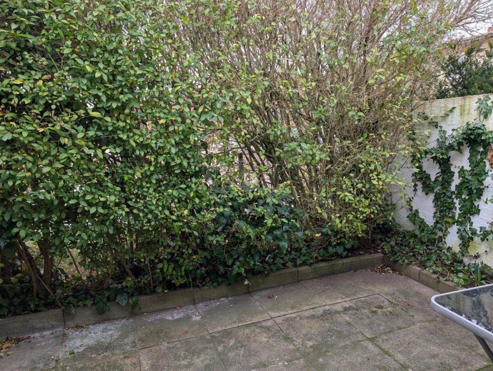 Schmucke-huus-bungalow * Westerland
